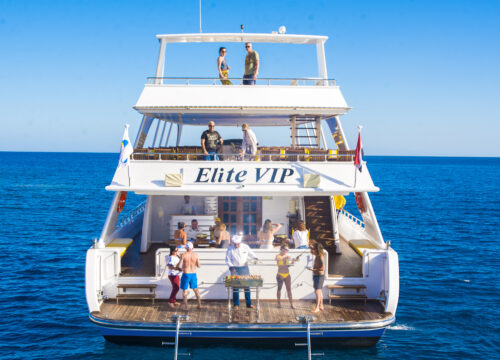 VIP Elite Cruise