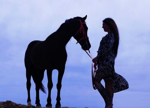 Horse Riding Desert 1 Hours