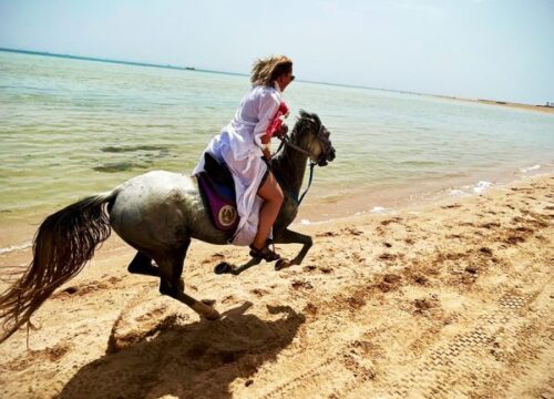 Horse Riding Desert 1 Hours