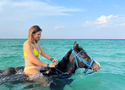 Horse Riding Beach 2 Hours