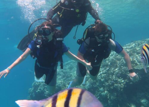 Orange Bay Island with Diving