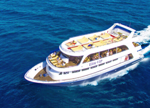 VIP Elite Cruise